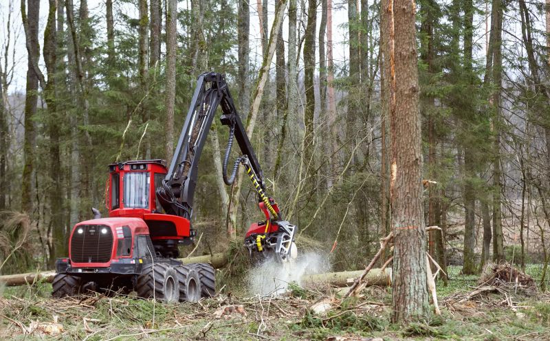 Forestry Clearing in Katy, TX