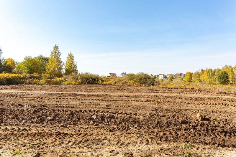Acreage Clearing in Katy, TX