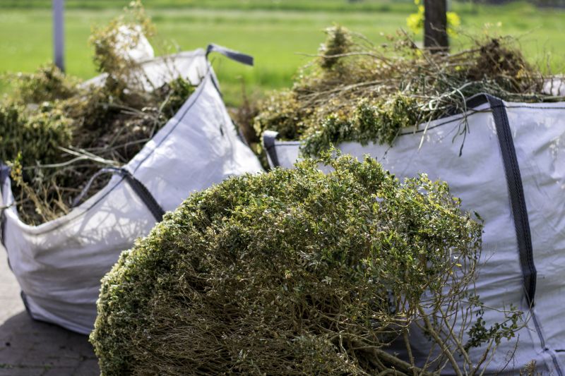 Brush Clearing Service in Marietta, GA
