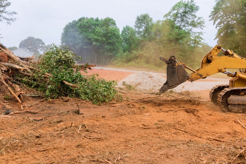 Easement Land Clearing in Atlanta, GA