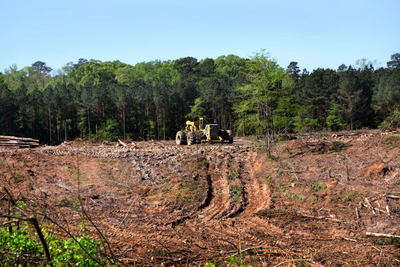 Easement Land Clearing in Katy, TX