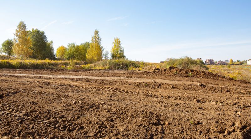 Land Clearing in Houston, TX