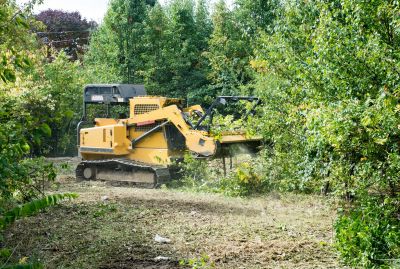 Terrain Clearing in Houston, TX