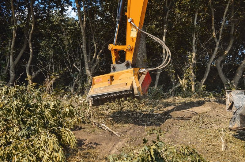 Underbrush Clearing in Atlanta, GA